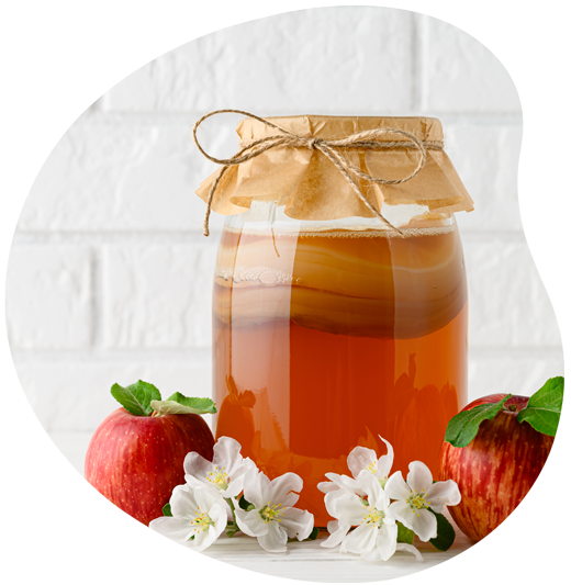 Co je
kombucha