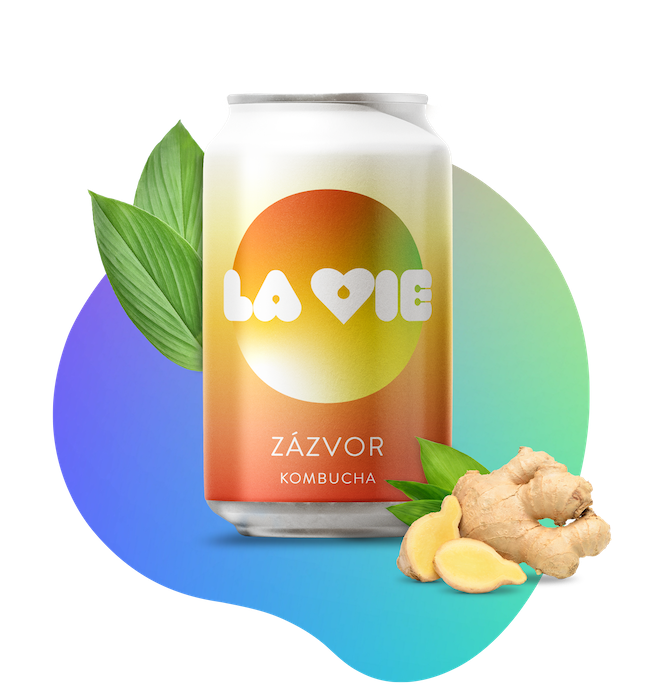 Zázvor
